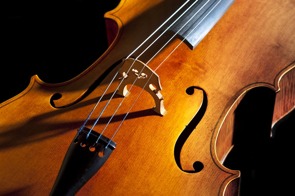 Violoncello