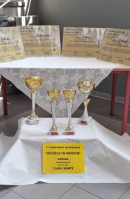 Concorso di Verona – Classi quinte Scuola Primaria